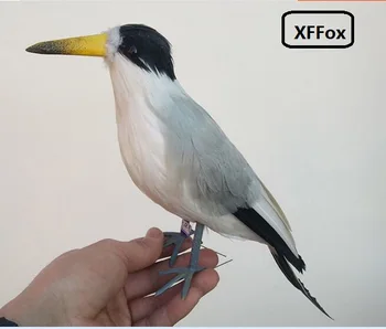 naujas realus gyvenimas žuvėdros modelis putų&plunksnų modeliavimas ryškus paukščių dovana, apie 30cm xf0894